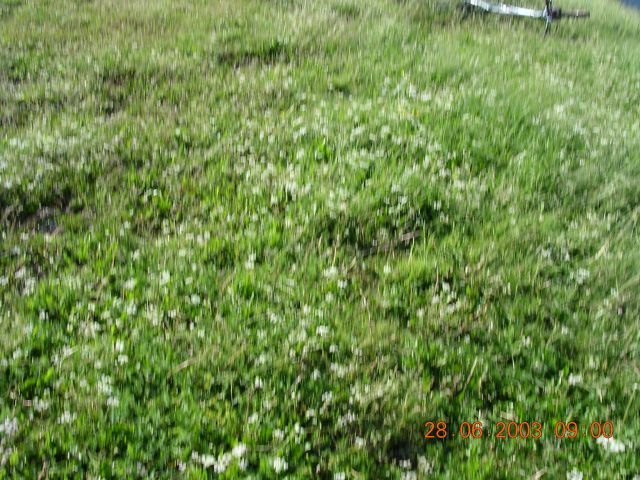 dscn0137.jpg