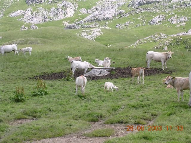 dscn0167.jpg
