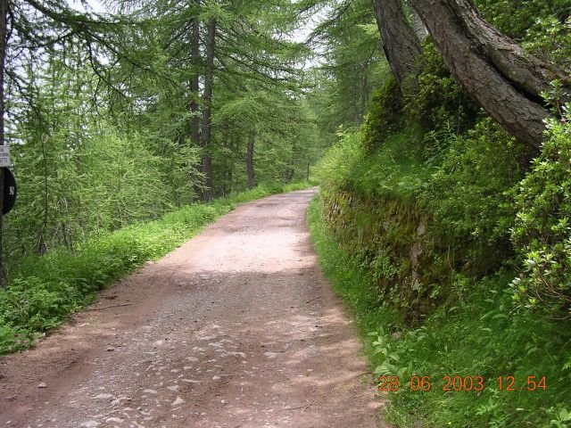 dscn0182.jpg