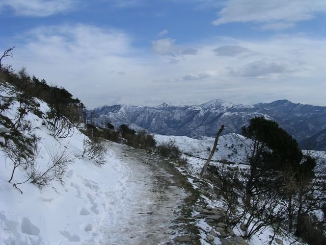 dscn0697.jpg