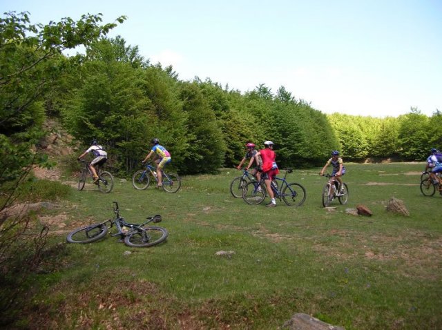 dscn0338_jpg.jpg