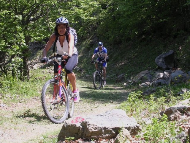 dscn0516_jpg.jpg