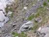 dscn1394_small.jpg