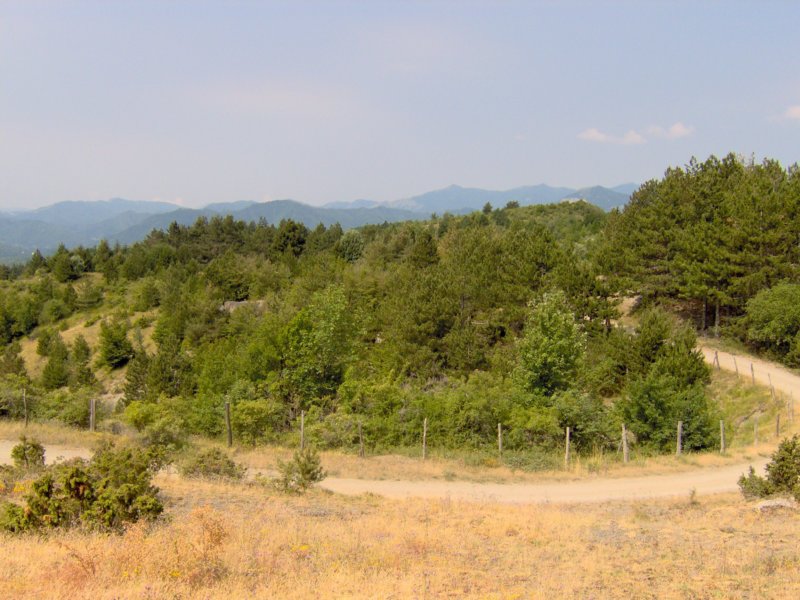 immagine034.jpg