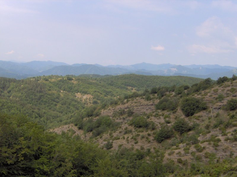 immagine045.jpg