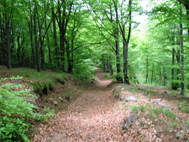 fotovarie010.jpg