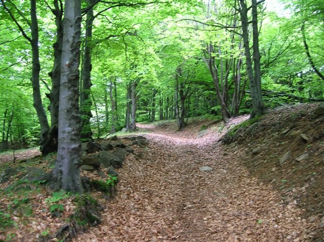 fotovarie011.jpg