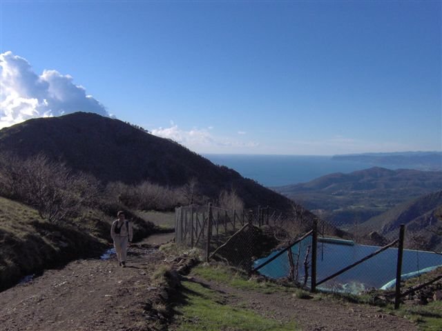 gava19.jpg