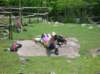 dscn0143_small.jpg