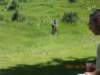 dscn2603_small.jpg