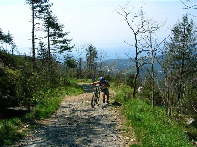cudumundu015.jpg