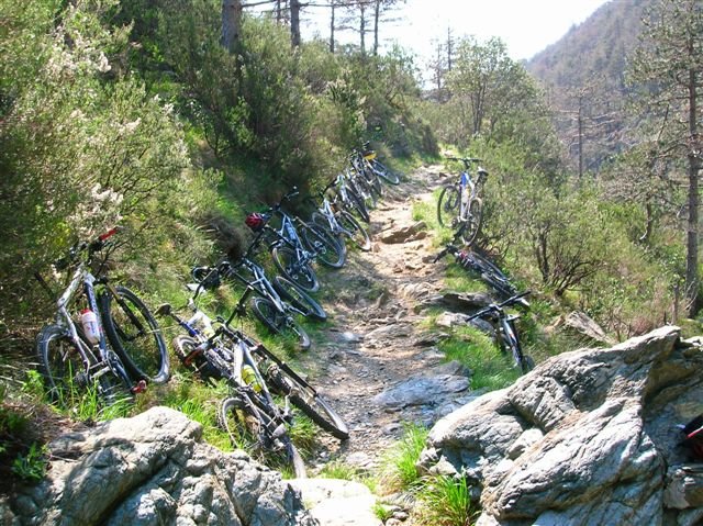 cudumundu027.jpg