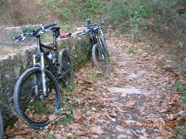 photo5.jpg