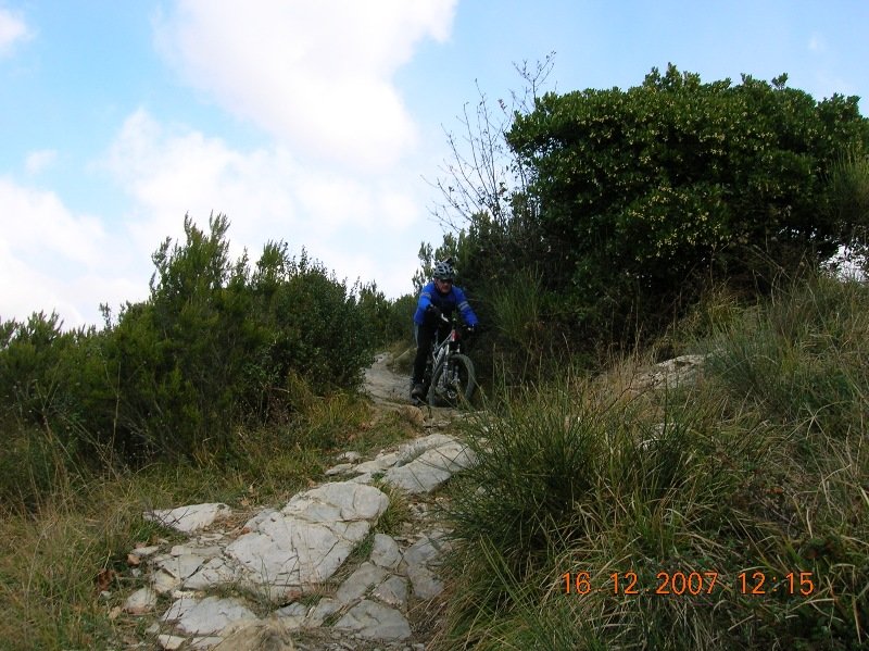 photo8.jpg