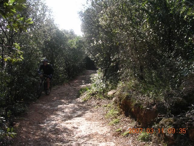 dscn2429.jpg