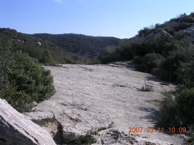 dscn2441.jpg