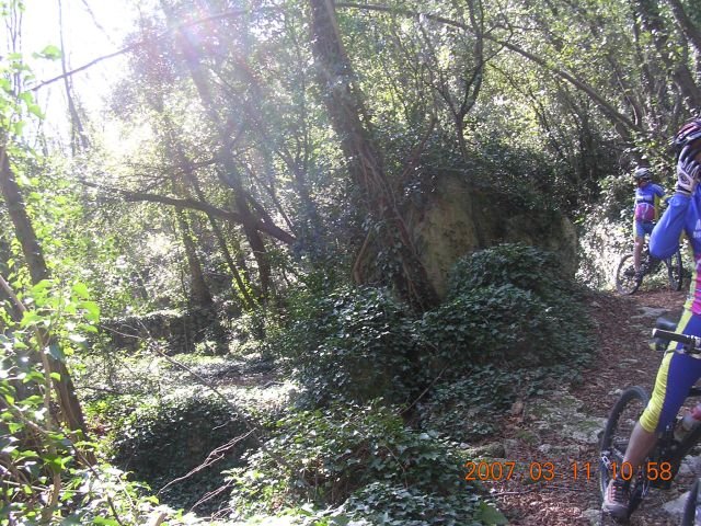 dscn2443.jpg