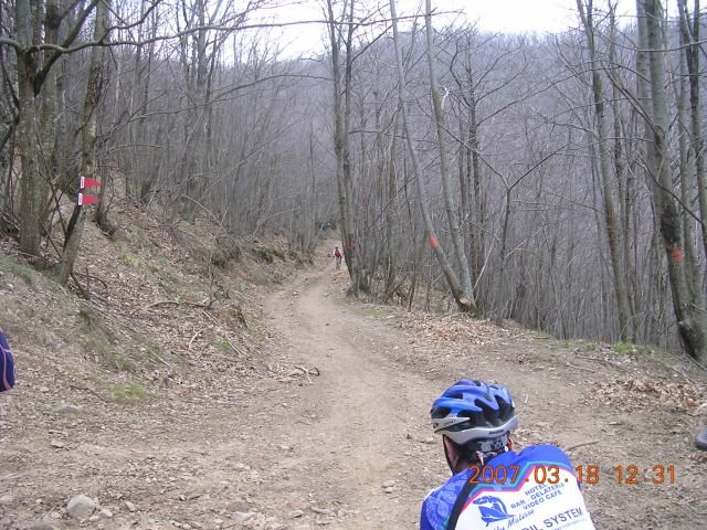 dscn2459.jpg