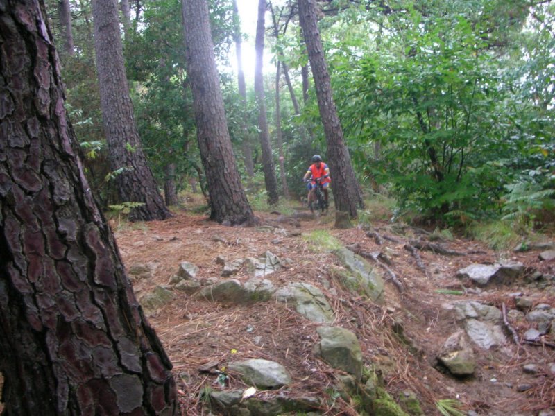 u_34mariemonti2007campiglia290907.jpg