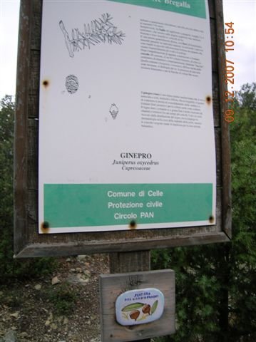 photo16.jpg