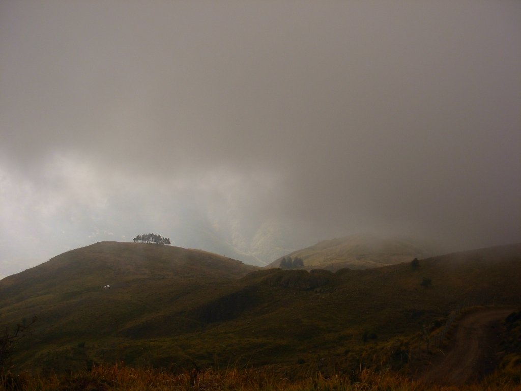 dscn1078.jpg