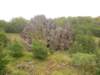dscn1088_small.jpg