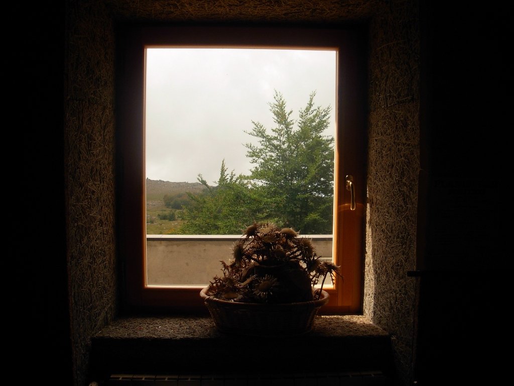 dscn1095.jpg