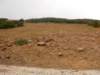 dscn1099_small.jpg