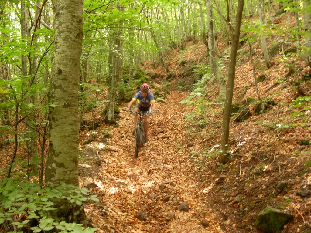 dscn1112.jpg