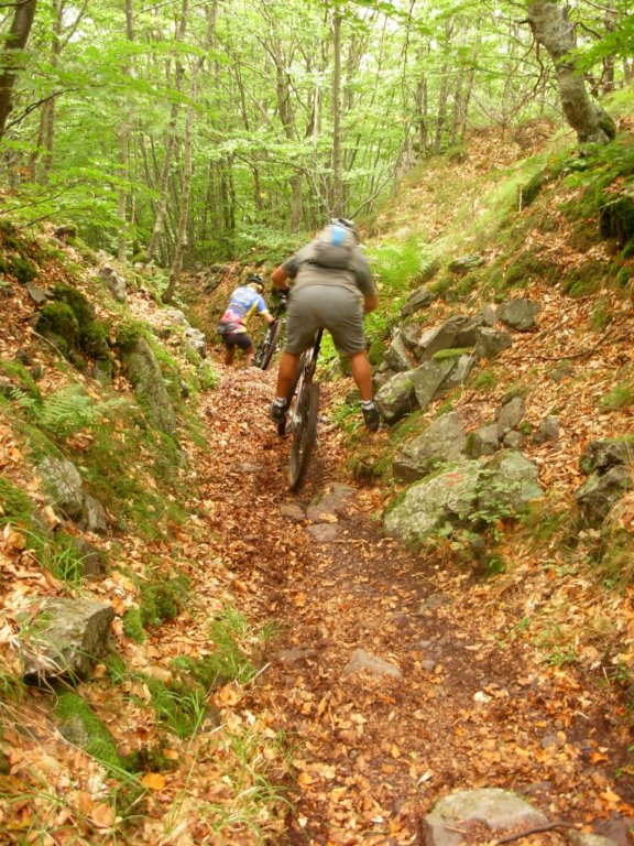 dscn1122.jpg
