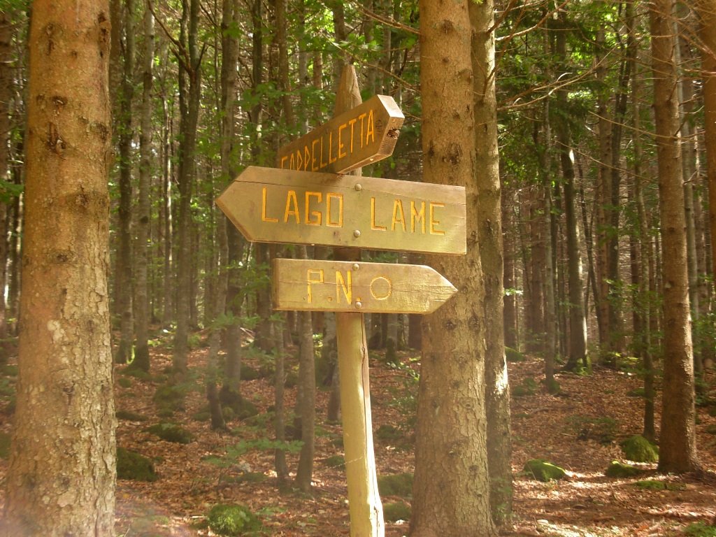 dscn1133.jpg