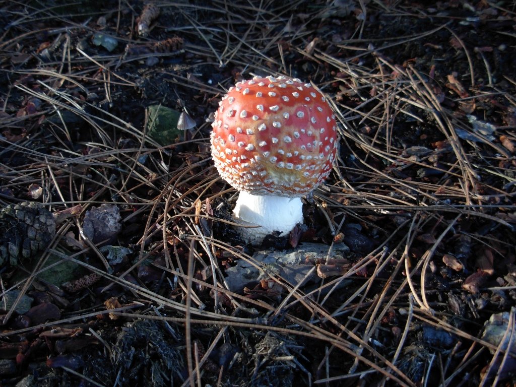 dscn1546.jpg