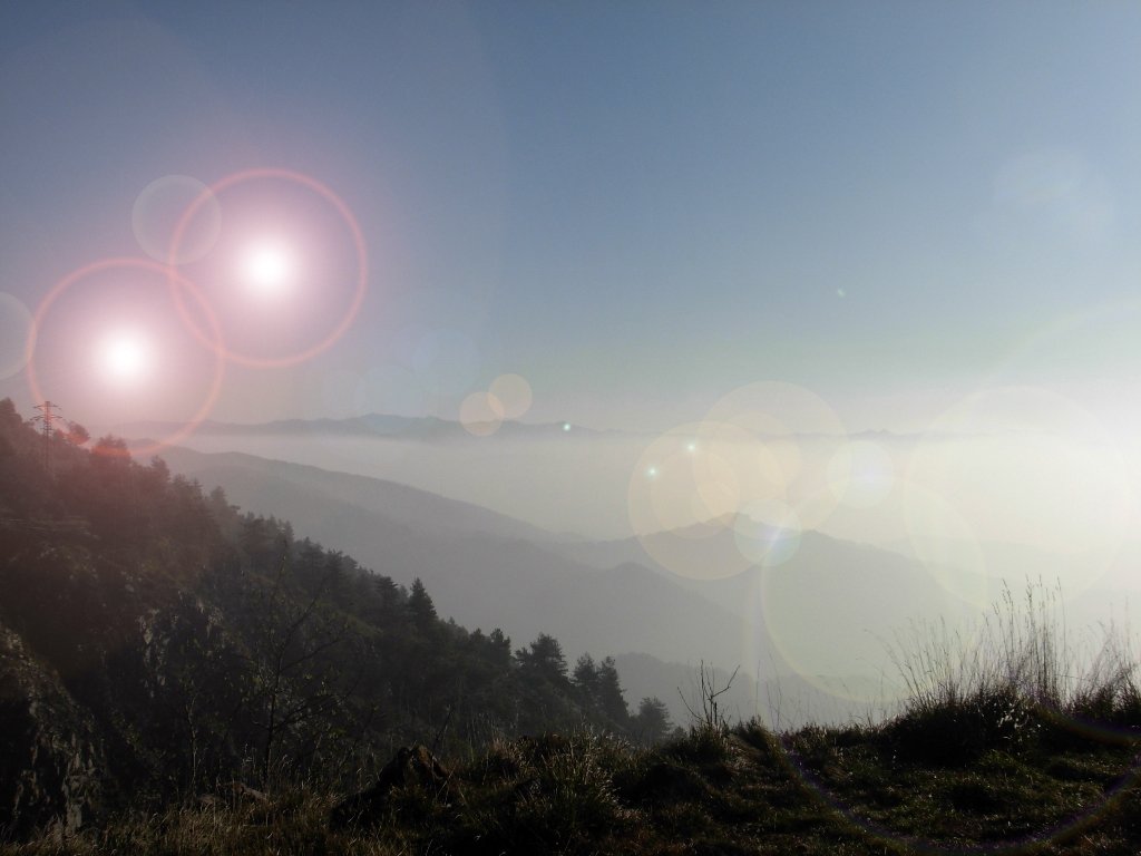 dscn1550.jpg