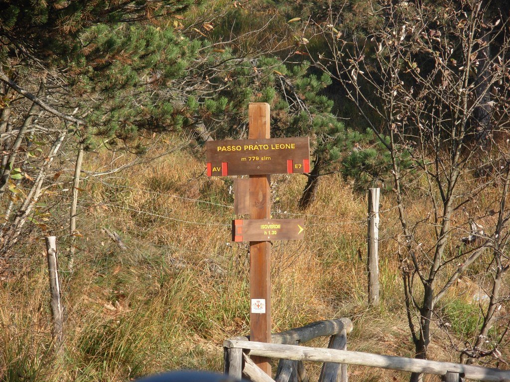 dscn1552.jpg