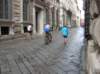 aphoto241_small.jpg