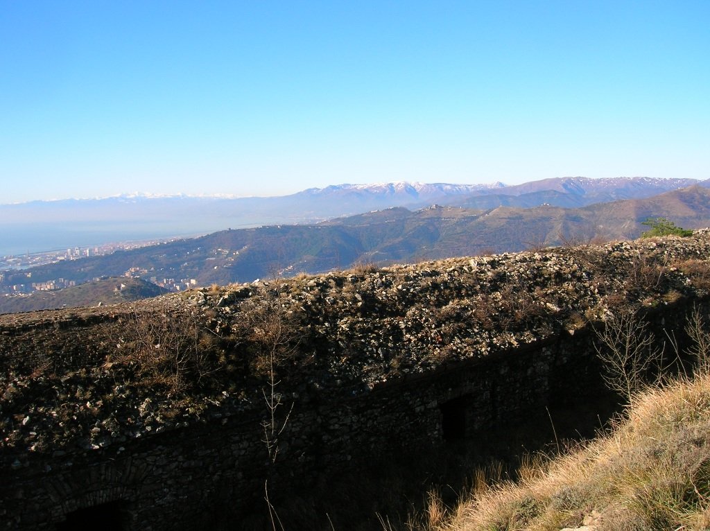 dscn4508.jpg