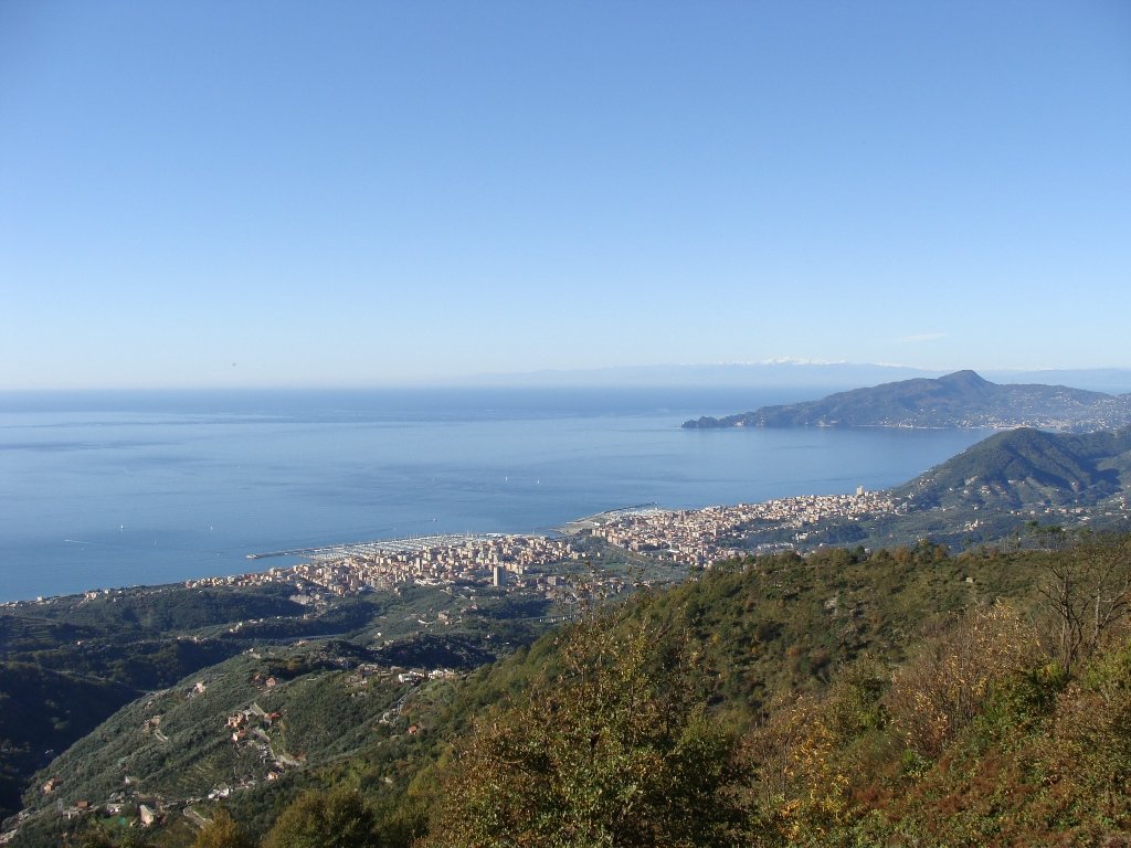 photo33.jpg