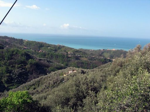 bsth20009.jpg