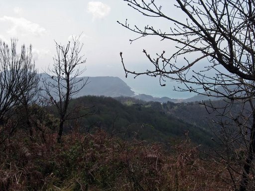 bsth20097.jpg