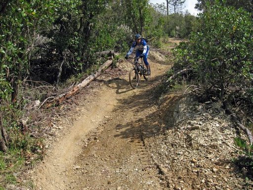 bsth20115.jpg
