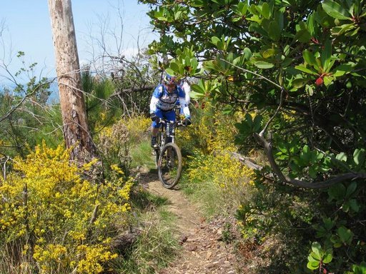 bsth20123.jpg