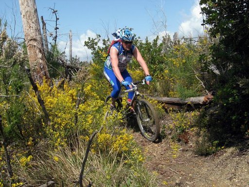 bsth20127.jpg