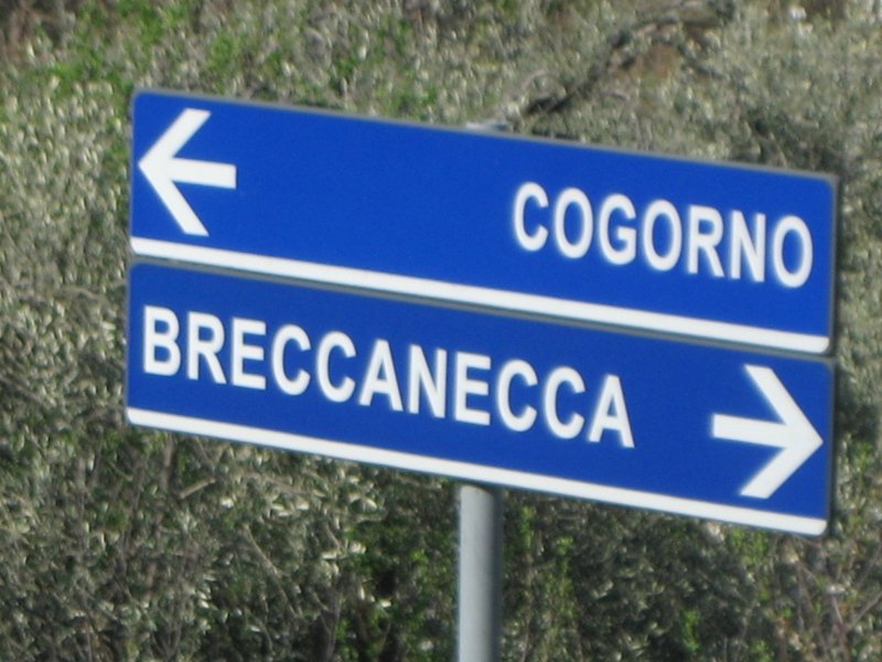 brecca2008004.jpg