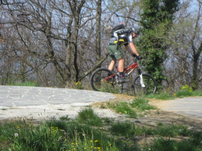 brecca2008011.jpg