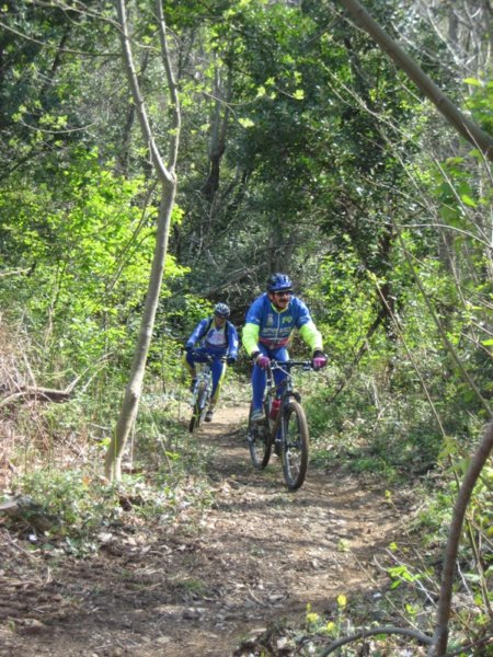 brecca2008066.jpg