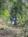 brecca2008066_small.jpg