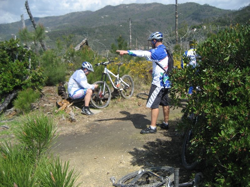 brecca2008073.jpg