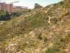 dscn0554_small.jpg