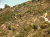 dscn0555_small.jpg