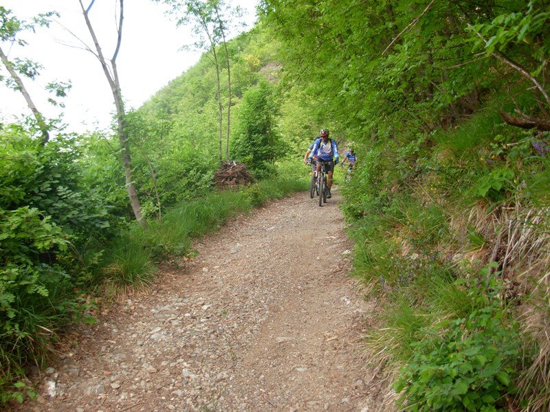 dscn0706.jpg